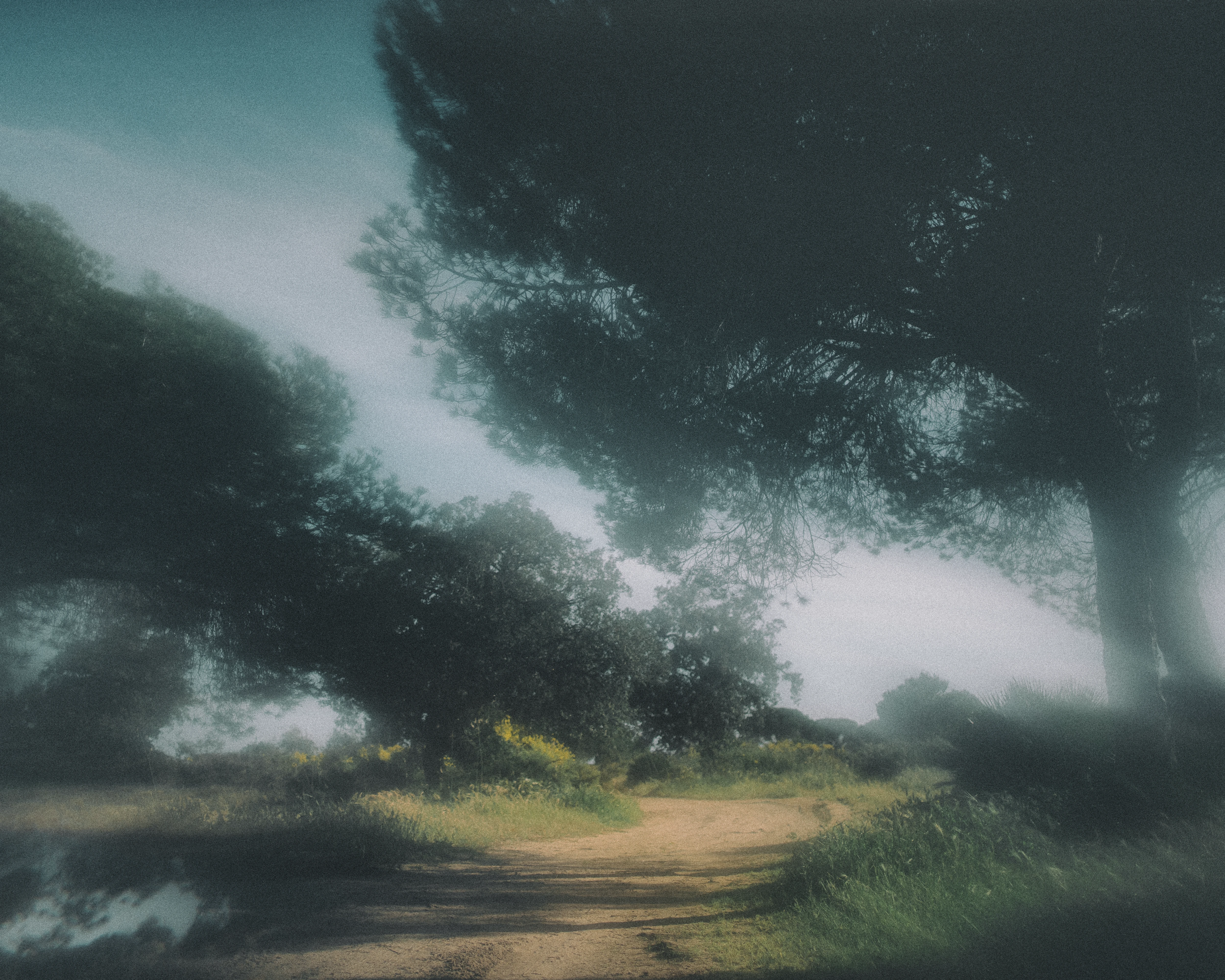 Viewing fine art photography on laptop – gallery of Svetlana Babenco