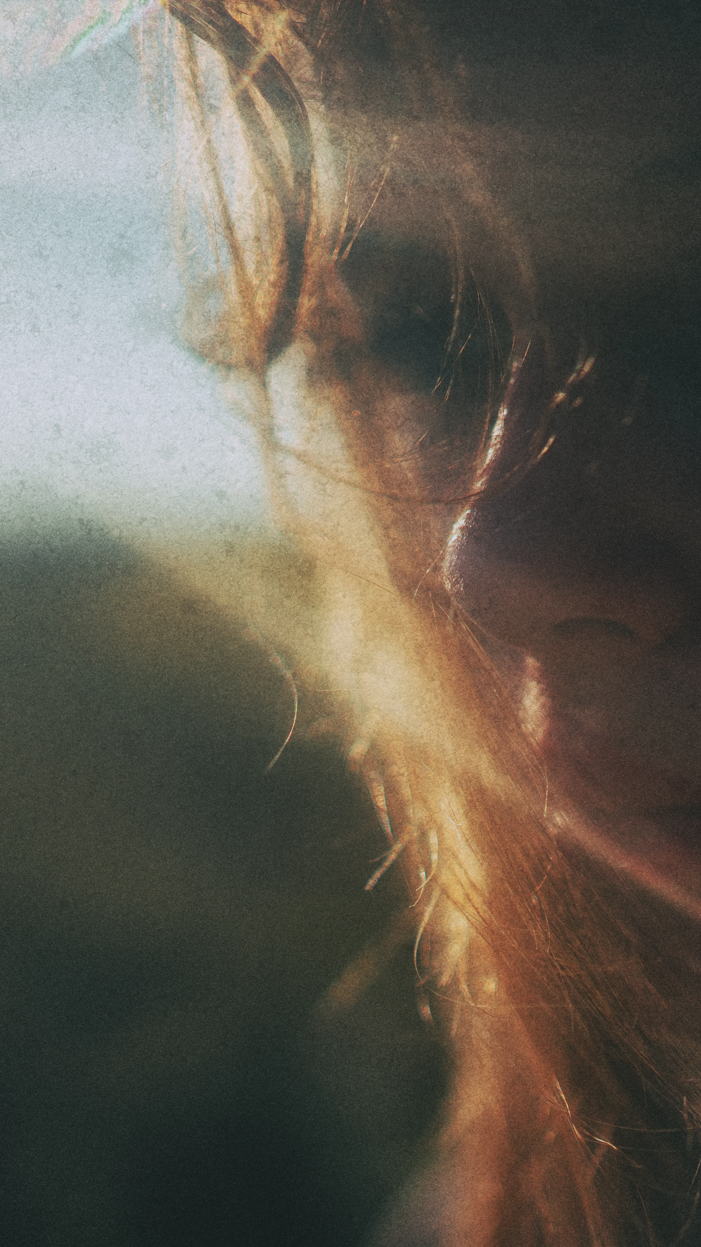 Fine art photo shown on mobile device – Svetlana Babenco digital collection