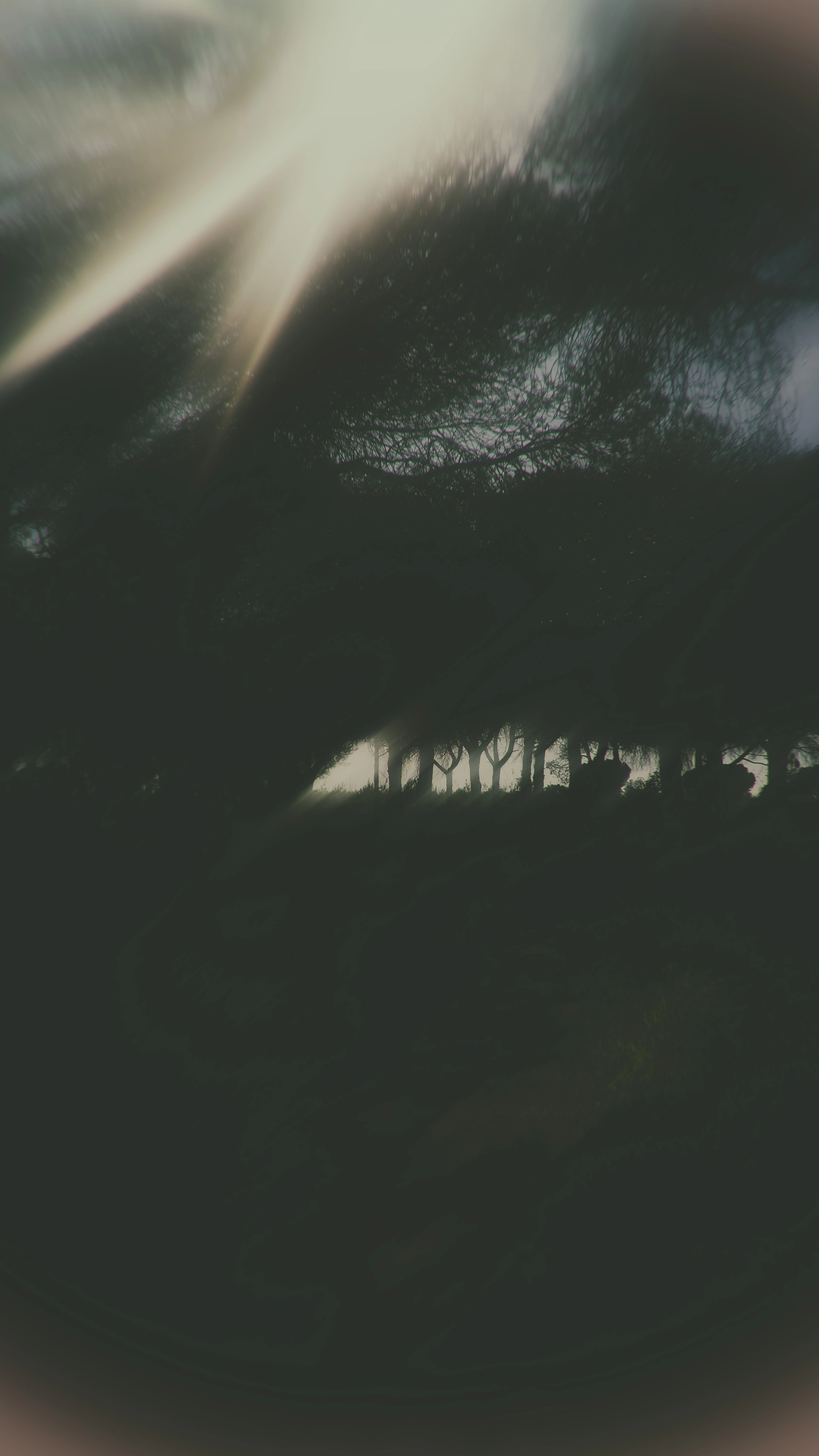 Mobile preview of artwork – elegant fine art photography by Svetlana Babenco