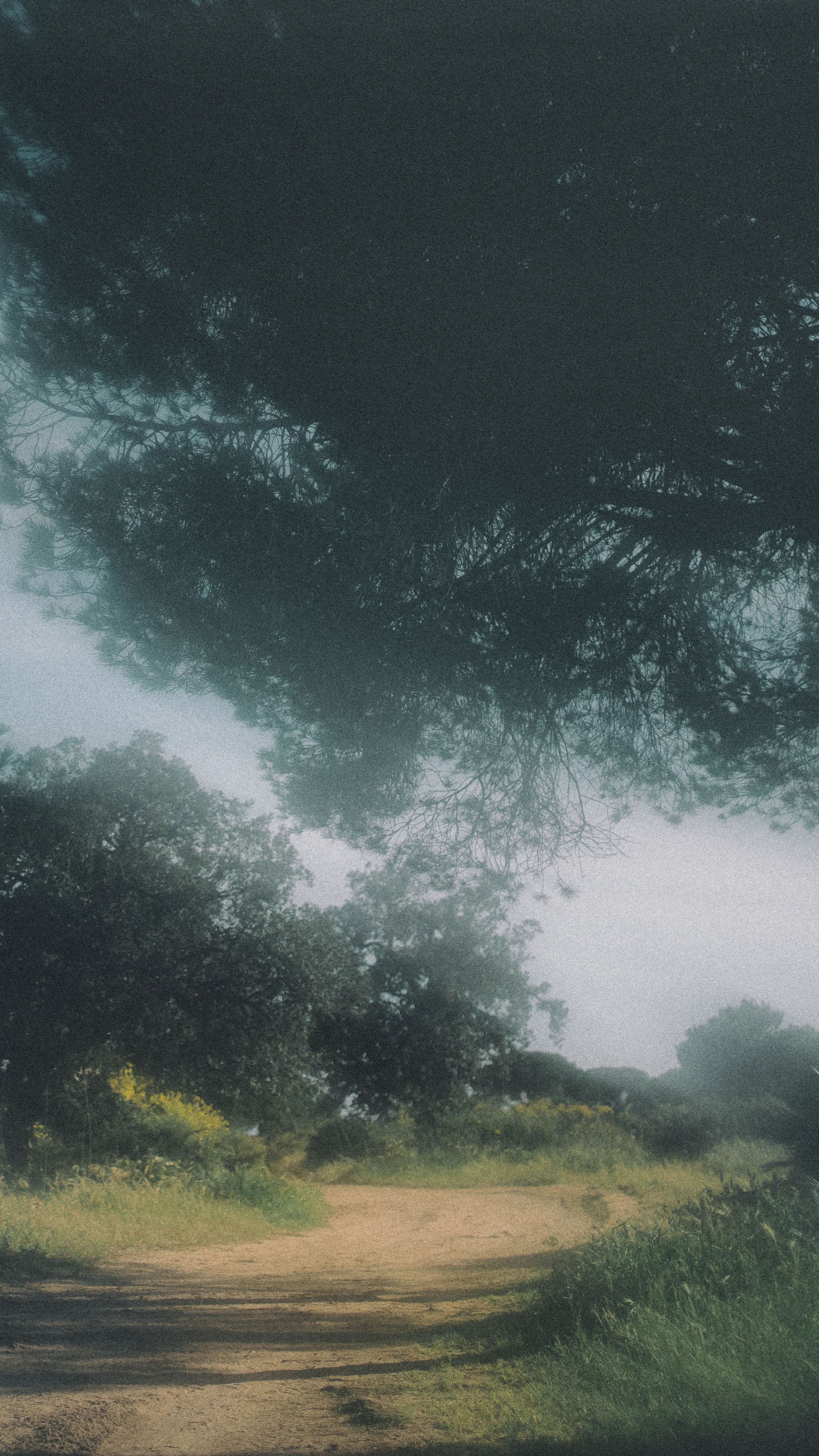 Mobile-friendly view of fine art photo – curated by Svetlana Babenco